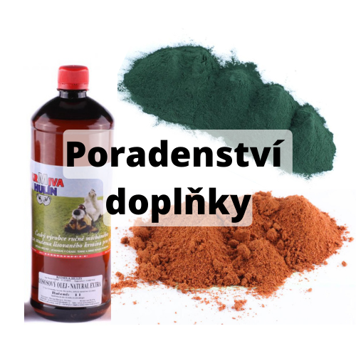 Poradenství doplňky