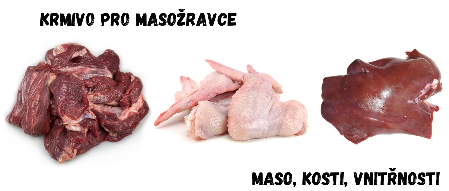 Krmeni-pro-masozravce.png