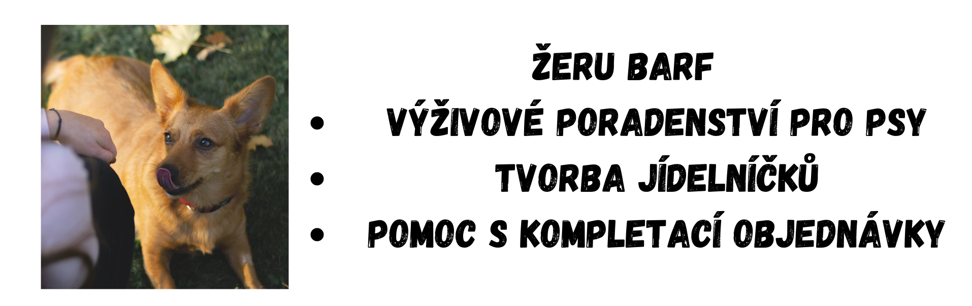 poradenstvi.png